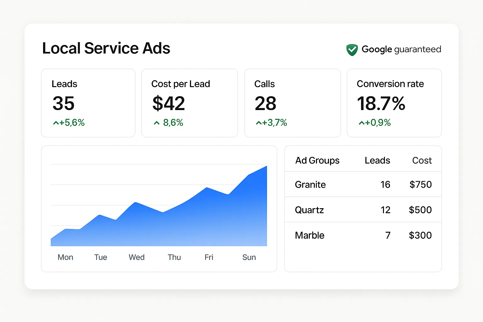 Google Ads / Local Service Ads performance dashboard showing leads, calls, and cost per lead.
